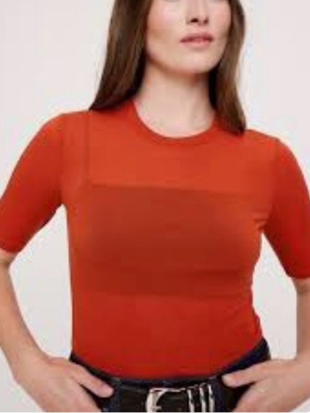 Banana Republic Short-Sleeve sheer Crewneck in Rust Orange size S